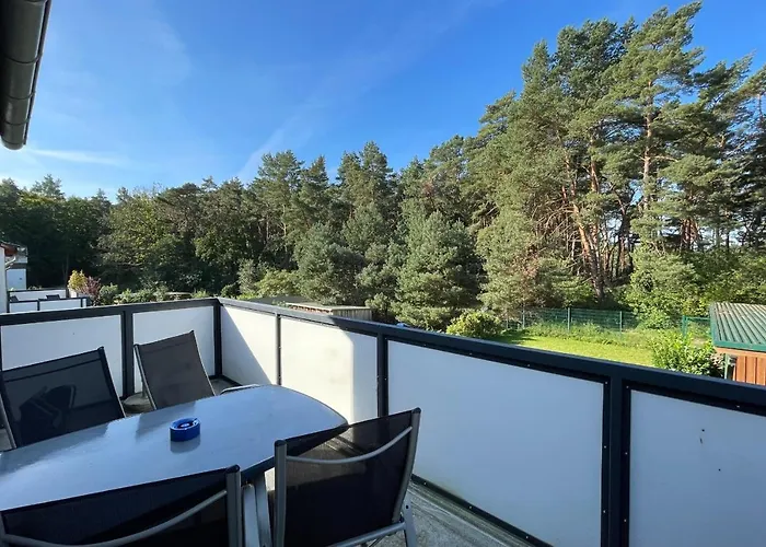 Am Kuestenwald 9 Seemoewe